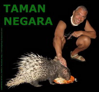   национальный парк taman negara